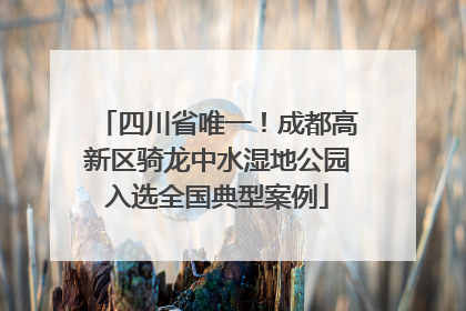 四川省唯一！成都高新区骑龙中水湿地公园入选全国典型案例