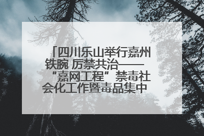 四川乐山举行嘉州铁腕 厉禁共治——“嘉网工程”禁毒社会化工作暨毒品集中销毁启动仪式
