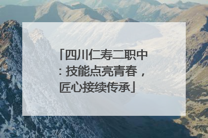 四川仁寿二职中：技能点亮青春，匠心接续传承