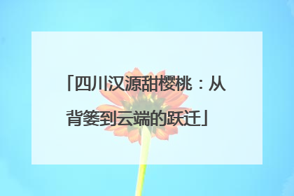 四川汉源甜樱桃：从背篓到云端的跃迁