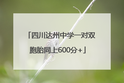 四川达州中学一对双胞胎同上600分+