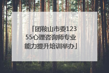 团鞍山市委12355心理咨询师专业能力提升培训举办