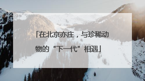 在北京亦庄，与珍稀动物的“下一代”相遇