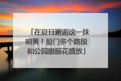 在夏日邂逅这一抹明黄！厦门多个路段和公园腊肠花盛放