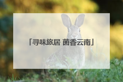 寻味旅居 菌香云南