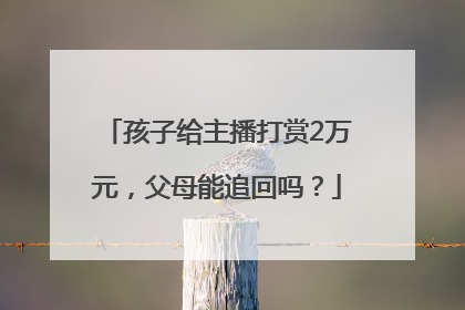 孩子给主播打赏2万元，父母能追回吗？
