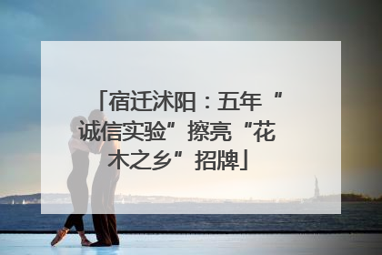 宿迁沭阳：五年“诚信实验”擦亮“花木之乡”招牌