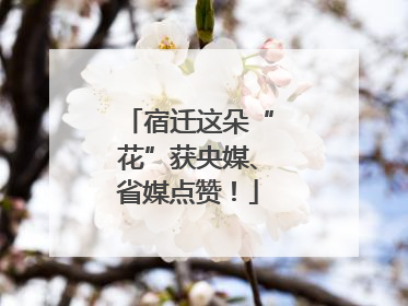 宿迁这朵“花”获央媒、省媒点赞！