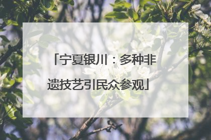 宁夏银川：多种非遗技艺引民众参观