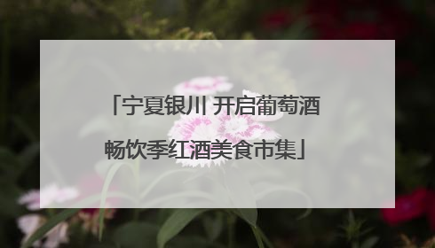 宁夏银川 开启葡萄酒畅饮季红酒美食市集
