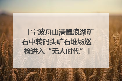 宁波舟山港鼠浪湖矿石中转码头矿石堆场巡检进入“无人时代”