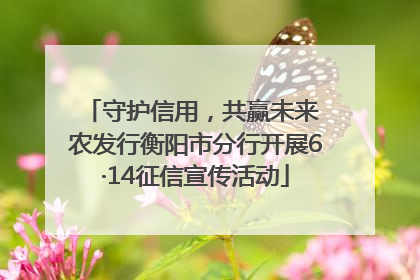 守护信用，共赢未来 农发行衡阳市分行开展6·14征信宣传活动