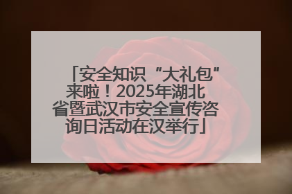 安全知识“大礼包”来啦！2025年湖北省暨武汉市安全宣传咨询日活动在汉举行
