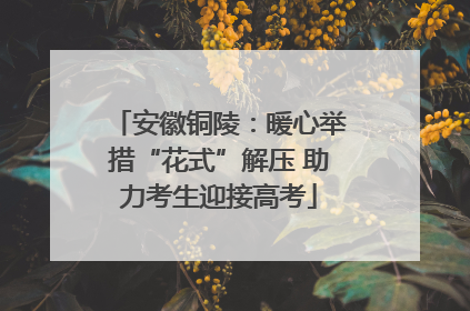 安徽铜陵：暖心举措“花式”解压 助力考生迎接高考