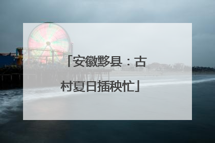 安徽黟县：古村夏日插秧忙