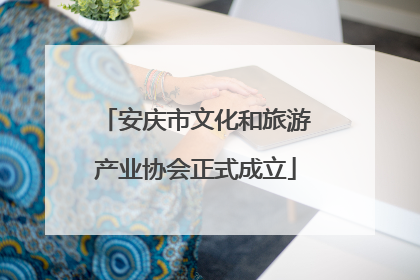 安庆市文化和旅游产业协会正式成立
