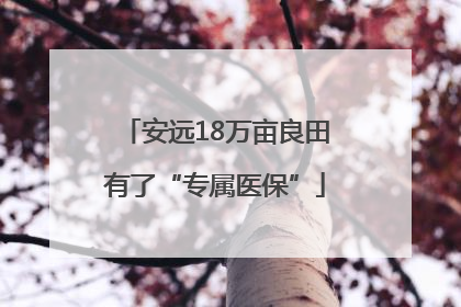 安远18万亩良田有了“专属医保”