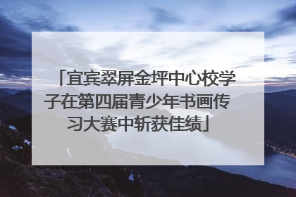 宜宾翠屏金坪中心校学子在第四届青少年书画传习大赛中斩获佳绩
