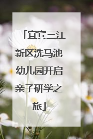 宜宾三江新区洗马池幼儿园开启亲子研学之旅