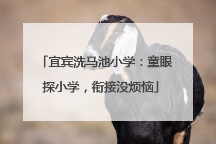 宜宾洗马池小学：童眼探小学，衔接没烦恼