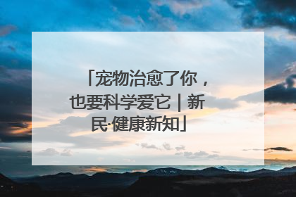 宠物治愈了你，也要科学爱它｜新民·健康新知