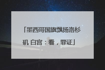 墨西哥国旗飘扬洛杉矶 白宫：看，罪证