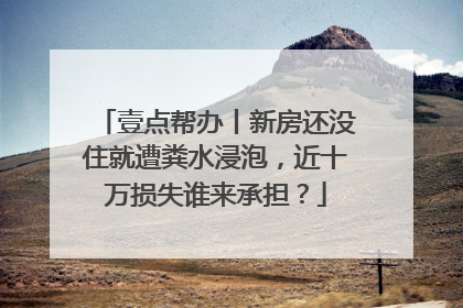 壹点帮办丨新房还没住就遭粪水浸泡，近十万损失谁来承担？