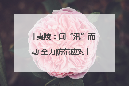 夷陵：闻“汛”而动 全力防范应对