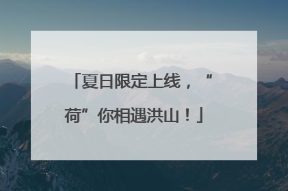 夏日限定上线，“荷”你相遇洪山！