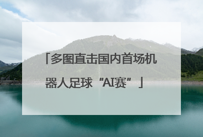 多图直击国内首场机器人足球“AI赛”
