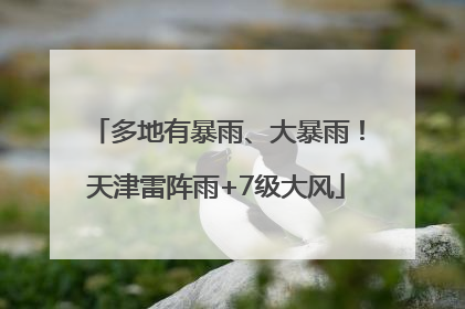 多地有暴雨、大暴雨！天津雷阵雨+7级大风