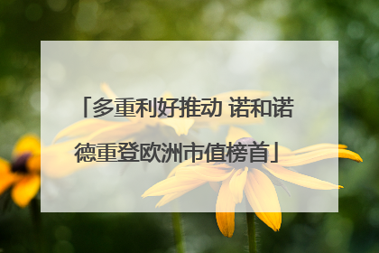 多重利好推动 诺和诺德重登欧洲市值榜首