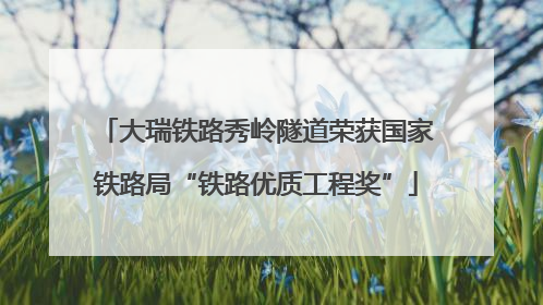 大瑞铁路秀岭隧道荣获国家铁路局“铁路优质工程奖”