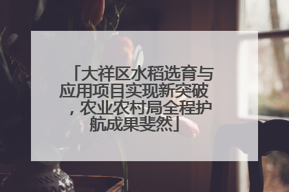 大祥区水稻选育与应用项目实现新突破，农业农村局全程护航成果斐然