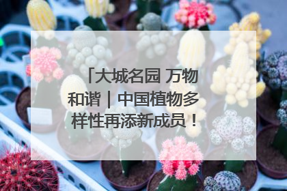 大城名园 万物和谐｜中国植物多样性再添新成员！它只在西藏墨脱