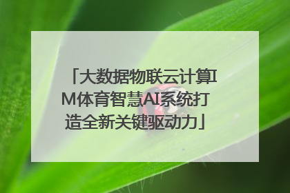 大数据物联云计算IM体育智慧AI系统打造全新关键驱动力