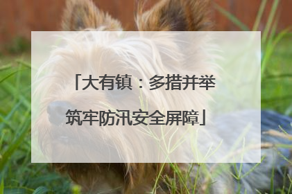 大有镇：多措并举筑牢防汛安全屏障
