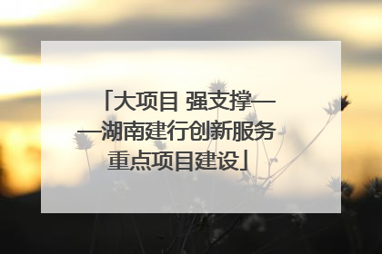 大项目 强支撑——湖南建行创新服务重点项目建设