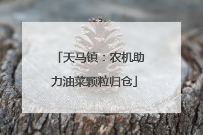 天马镇：农机助力油菜颗粒归仓