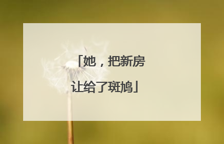 她，把新房让给了斑鸠
