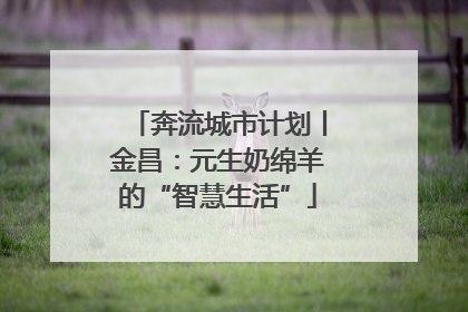 奔流城市计划丨金昌：元生奶绵羊的“智慧生活”