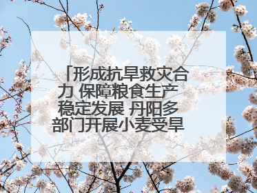 形成抗旱救灾合力 保障粮食生产稳定发展 丹阳多部门开展小麦受旱情况调研