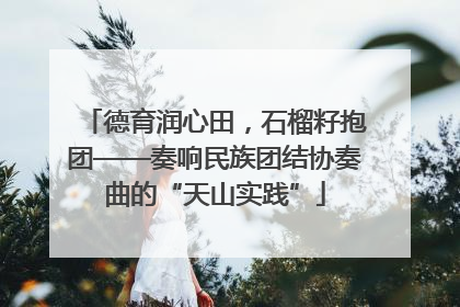 德育润心田，石榴籽抱团——奏响民族团结协奏曲的“天山实践”