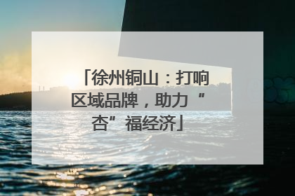 徐州铜山：打响区域品牌，助力“杏”福经济