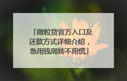 微粒贷官方入口及还款方式详细介绍，急用钱周转不用慌