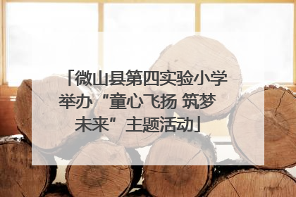 微山县第四实验小学举办“童心飞扬 筑梦未来”主题活动