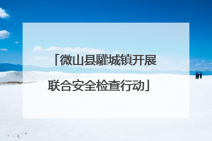 微山县驩城镇开展联合安全检查行动