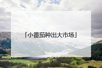 小番茄种出大市场