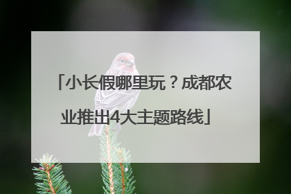 小长假哪里玩？成都农业推出4大主题路线