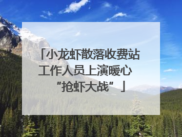 小龙虾散落收费站 工作人员上演暖心“抢虾大战”